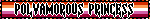 POLYAMOROUS PRINCESS Lesbian Flag Blinkie POLYAMOROUS PRINCESS Lesbian Flag Blinkie