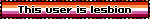 This User Is Lesbian Lesbian Blinkie