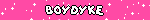 BOYDYKE Pink Sparkling Blinkie
