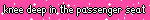 Knee Deep In The Passenger Seat Pink Sparkling Blinkie Knee Deep In The Passenger Seat Pink Sparkling Blinkie