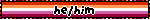 He Him Lesbian Blinkie