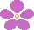 Sapphic Violet Pixel Sapphic Violet Pixel