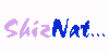MH ShizNat Webs