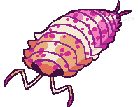 Lesbian Isopod