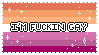 Im Fucking Gay Lesbian Vers 2 Im Fucking Gay Lesbian Vers 2