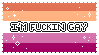 Im Fuckin Gay Lesbian Vers 3 Im Fuckin Gay Lesbian Vers 3
