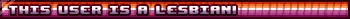 THIS USER IS A LESBIAN! Lesbian Flag Userbar THIS USER IS A LESBIAN! Lesbian Flag Userbar