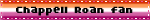 Chappell Roan Fan Lesbian Flag Blinkie