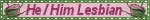 He/Him Lesbian Rose Blinkie He/Him Lesbian Rose Blinkie