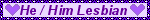 He/Him Lesbian Purple Hearts Blinkie He/Him Lesbian Purple Hearts Blinkie