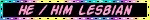 HE/HIM LESBIAN Multicolor Black Blinkie HE/HIM LESBIAN Multicolor Black Blinkie