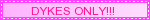 DYKES ONLY!!! Pink Blinkie