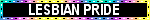 LESBIAN PRIDE Multicolor Black Blinkie