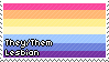 They/Them Lesbian They/Them Lesbian