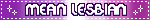 FEMME FLAG MEAN LESBIAN BLINKIE FEMME FLAG MEAN LESBIAN BLINKIE