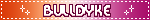 BULLDYKE LESBIAN BLINKIE BULLDYKE LESBIAN BLINKIE