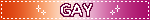 GAY LESBIAN BLINKIE GAY LESBIAN BLINKIE