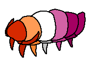 lgbt+ / lesbian - isopod lgbt+ / lesbian - isopod